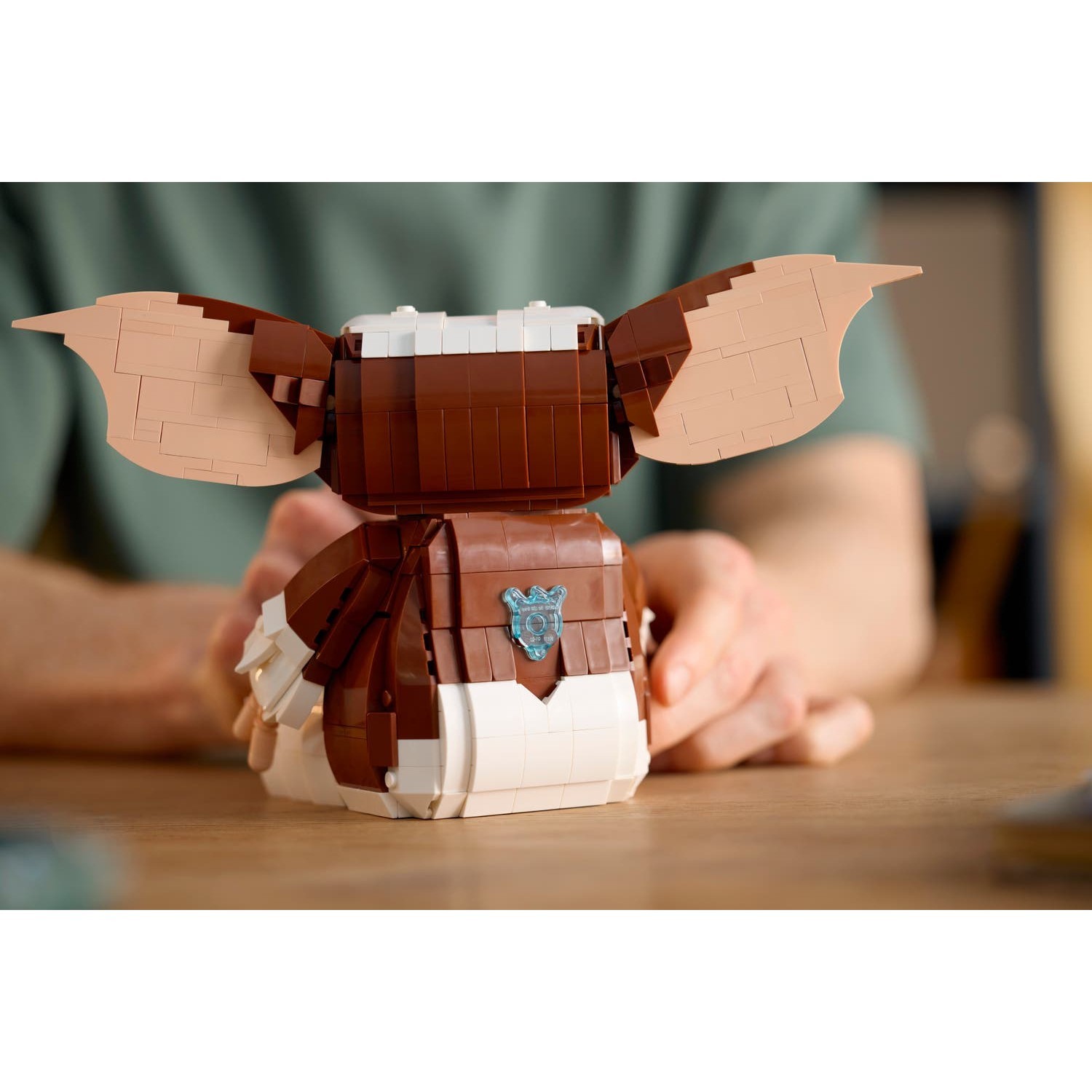 LEGO Ideas 21361 - Image 15/17